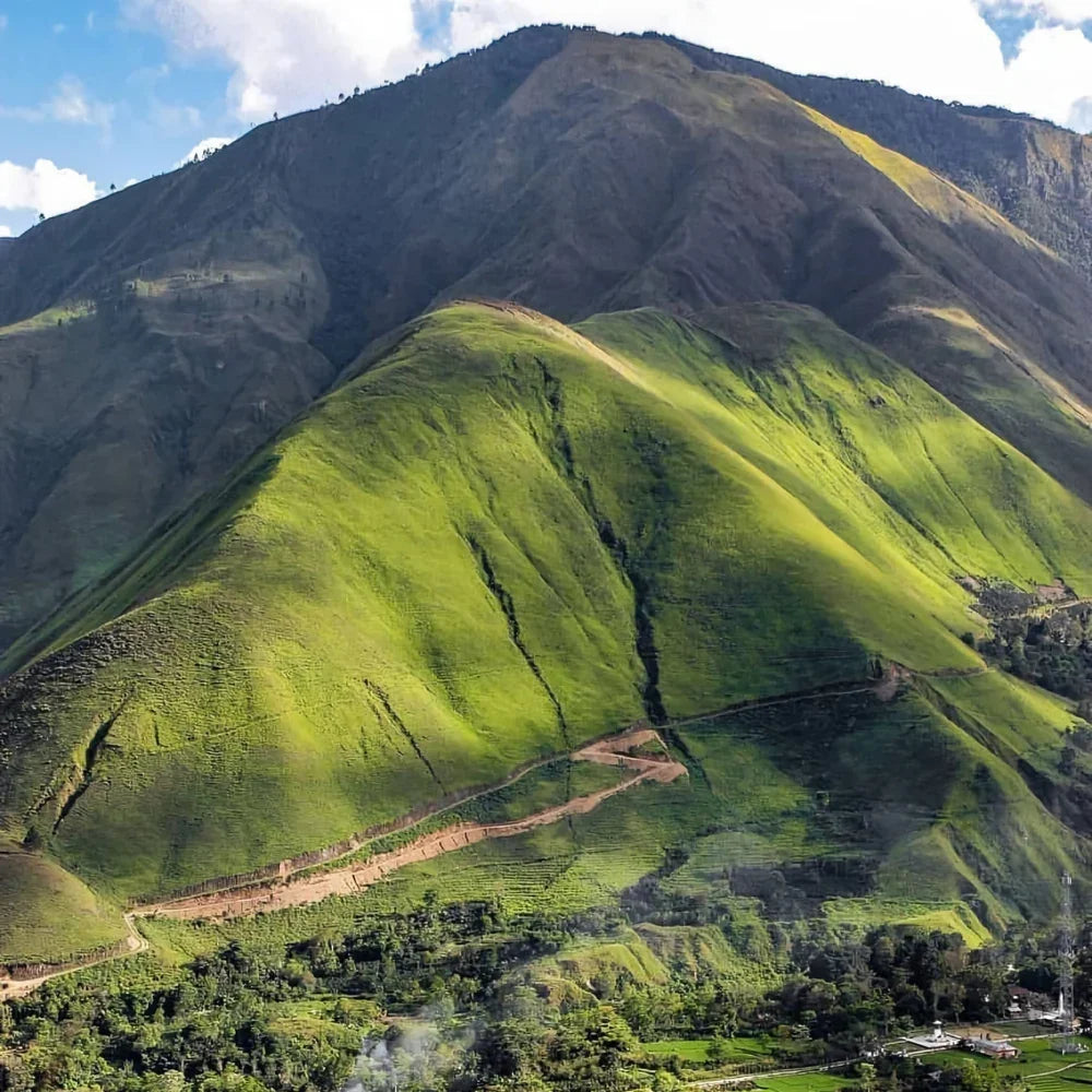 Sumatra - Intenso, terroso y exótico | SCA: 84Pts - Tienda Online Cafés Puerto Rico